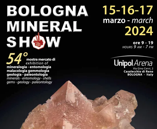 hotelcalzavecchio it mineral-show-dal-15-al-17-marzo-2024 007